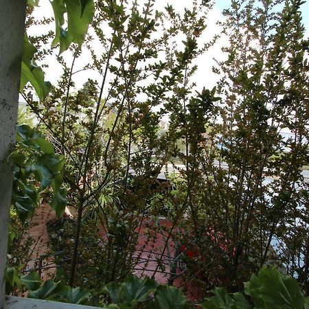 Paraiso Rooms Coliving Madrid Exterior photo